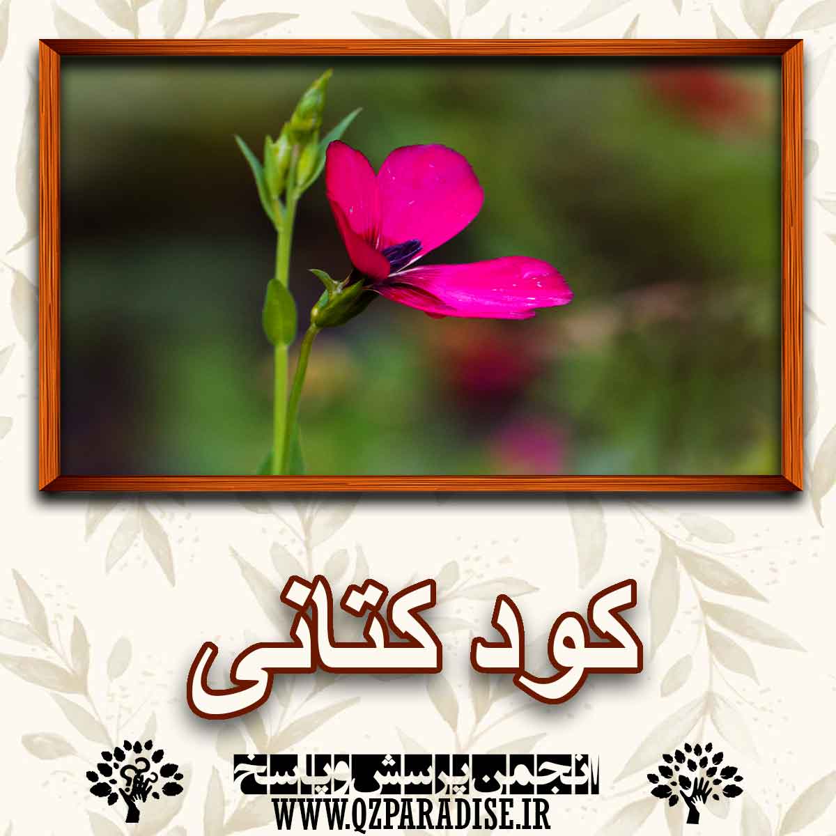 کود مناسب گیاه کتانی را شرح دهید ؟ 40b675b65dde5bd3e138572a0e1d2f58e244f0ba 147 - کود مناسب گیاه کتانی را شرح دهید ؟