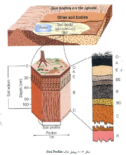ابعاد پروفیل خاک را شرح دهید؟ 432aeecf6fcd871fd20e2ea38745ea6961610938 335 - ابعاد پروفیل خاک را شرح دهید؟