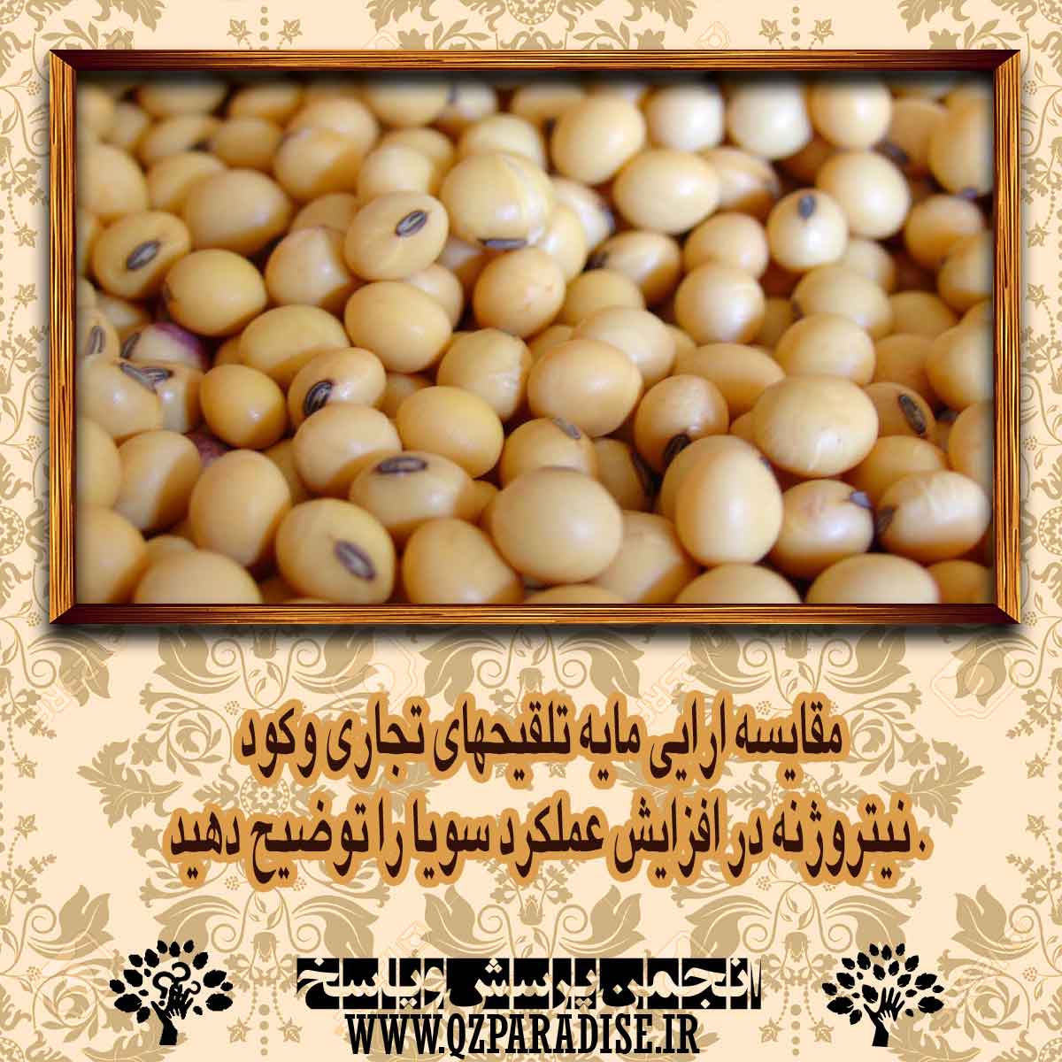 مقايسه ارايي مايه تلقيحهاي تجاري و ود نيتروژنه در افزايش عملكرد سويا را توضیح دهید . 44d60038a1c2e1399101d9921fef8cba1dff25e2 14 - مقايسه ارايي مايه تلقيحهاي تجاري و ود نيتروژنه در افزايش عملكرد سويا را توضیح دهید .