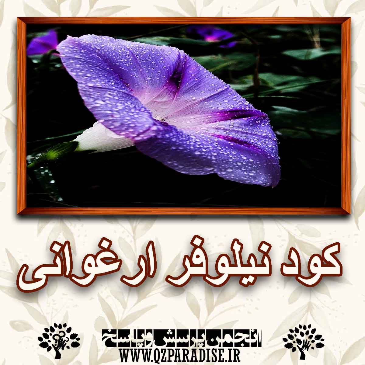 خواص استفاده از کود نیلوفر ارغوانی راشرح دهید ؟ 5149e41700e7f96670ed8d02fd5944537abfde8c 227 - خواص استفاده از کود نیلوفر ارغوانی راشرح دهید ؟