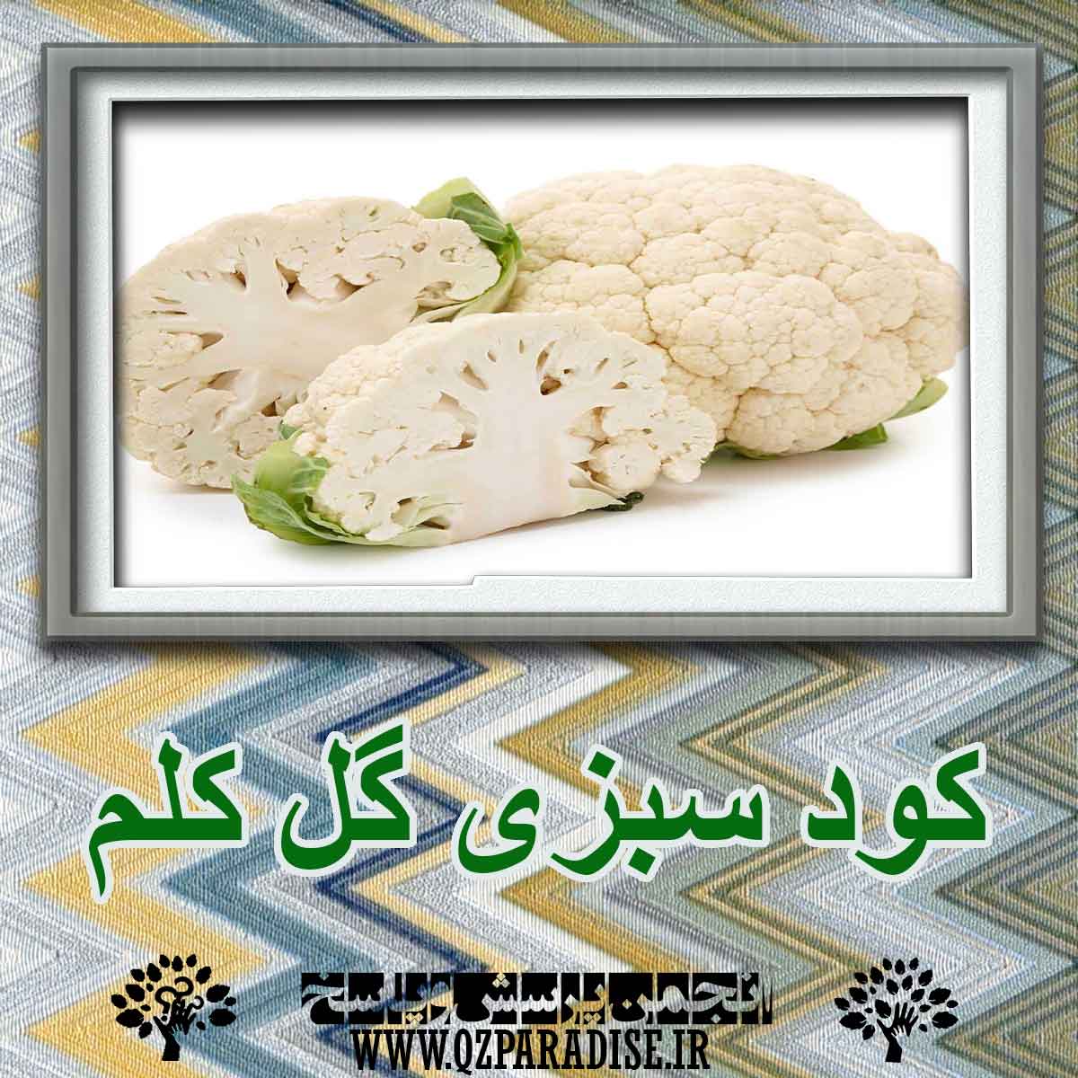 کود سبزی گل کلم؟ چه کاربردی دارد؟ 53a0bbba5bdb00fab48dfbe04370352e5cdb9a50 227 - کود سبزی گل کلم؟ چه کاربردی دارد؟