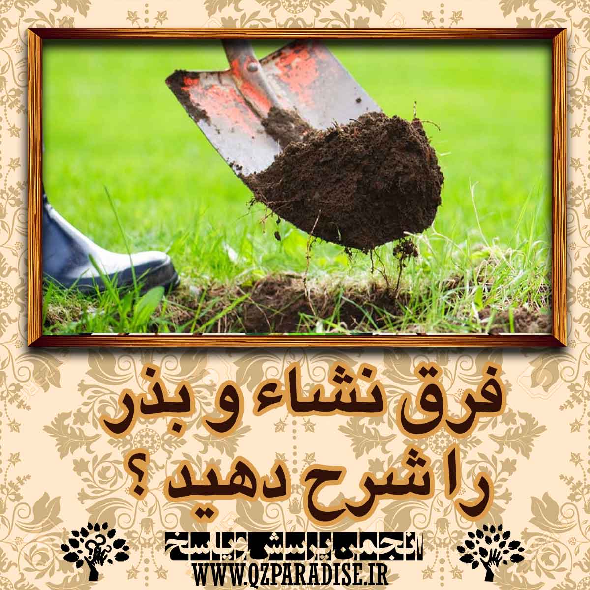 569a30bc74a4def3defc61609ac00bfe1ff54e61 14 - فرق نشاء و بذر را شرح دهید ؟