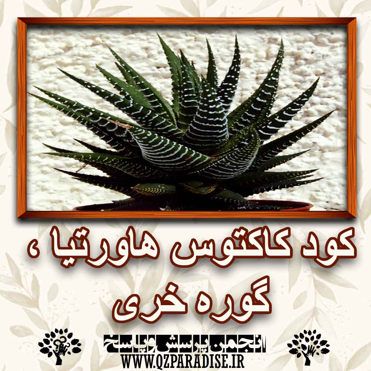 کود مناسب گل کاکتوس هاورتیا ، گوره خری را شرح دهید ؟ 589f54a6638d3f2ed67c6df27308a4b291f5611b 147 - کود مناسب گل کاکتوس هاورتیا ، گوره خری را شرح دهید ؟