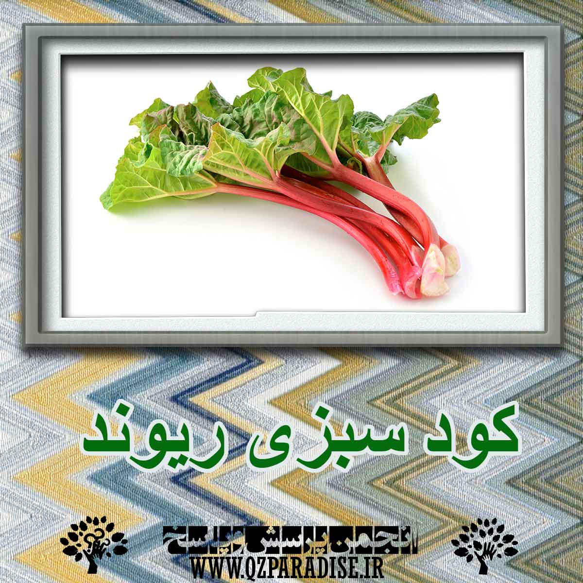 63b951d417e0f15ddef1f9ceff7fdb7a5d68aea7 227 - کود سبزی  ریوند چیست ؟