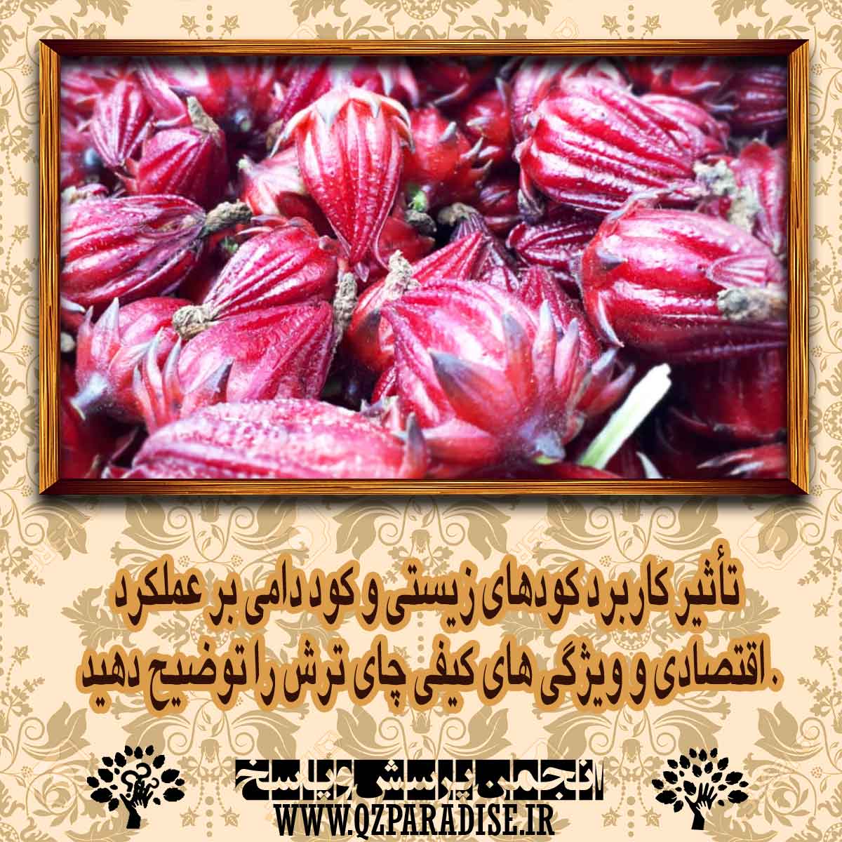 تأثير كاربرد كودهاي زيستي و كود دامي بر عملكرد اقتصادي و ويژگي هاي كيفي چاي ترش را توضیح دهید . 6649eae211b73f20fbcd7b0b83851bca9f6d7fda 14 - تأثير كاربرد كودهاي زيستي و كود دامي بر عملكرد اقتصادي و ويژگي هاي كيفي چاي ترش را توضیح دهید .