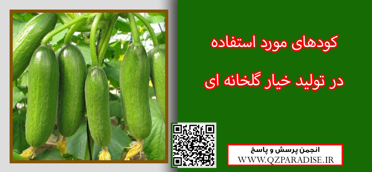 معرفي كود هاي مورد استفاده در توليد خيار گلخانهاي و موارد مصرف آنها رابه طور کامل شرح دهید ؟ 6812b9f75a1ff524f6e297815b0f299996170fac 9 - معرفي كود هاي مورد استفاده در توليد خيار گلخانهاي و موارد مصرف آنها رابه طور کامل شرح دهید ؟