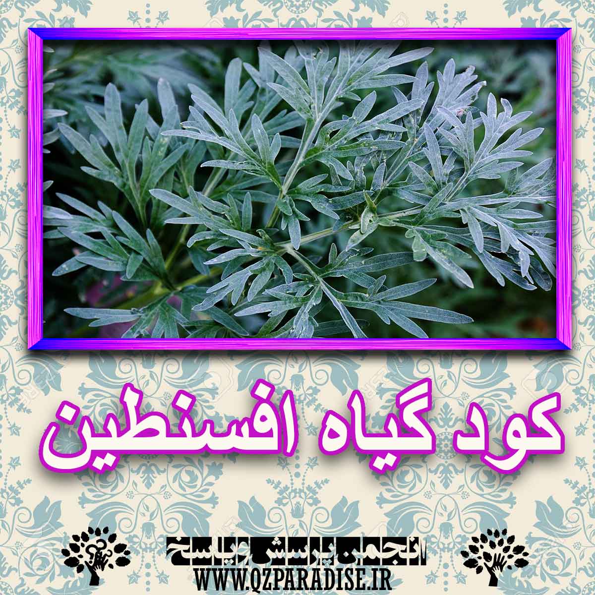 خواص استفاده از کود گل افسنطین را شرح دهید ؟ 717366fb0215dcd0a58d32f969f32c493d93e24e 227 - خواص استفاده از کود گل افسنطین را شرح دهید ؟