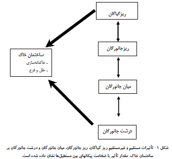 تاثیرات جانوران برفرآیند های فیزیکی خاک را توضیح دهید؟ 73149f75be514ba60c4efc3d5a707a4699b3dae0 335 - تاثیرات جانوران برفرآیند های فیزیکی خاک را توضیح دهید؟