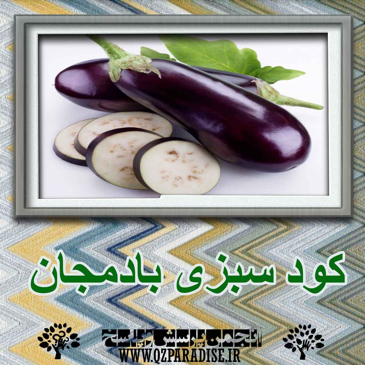 کود سبزی بادمجان چیست؟ 74f4c8f69cd1ece55a8cc51cdd8c8b1318bac6ca 227 - کود سبزی بادمجان چیست؟