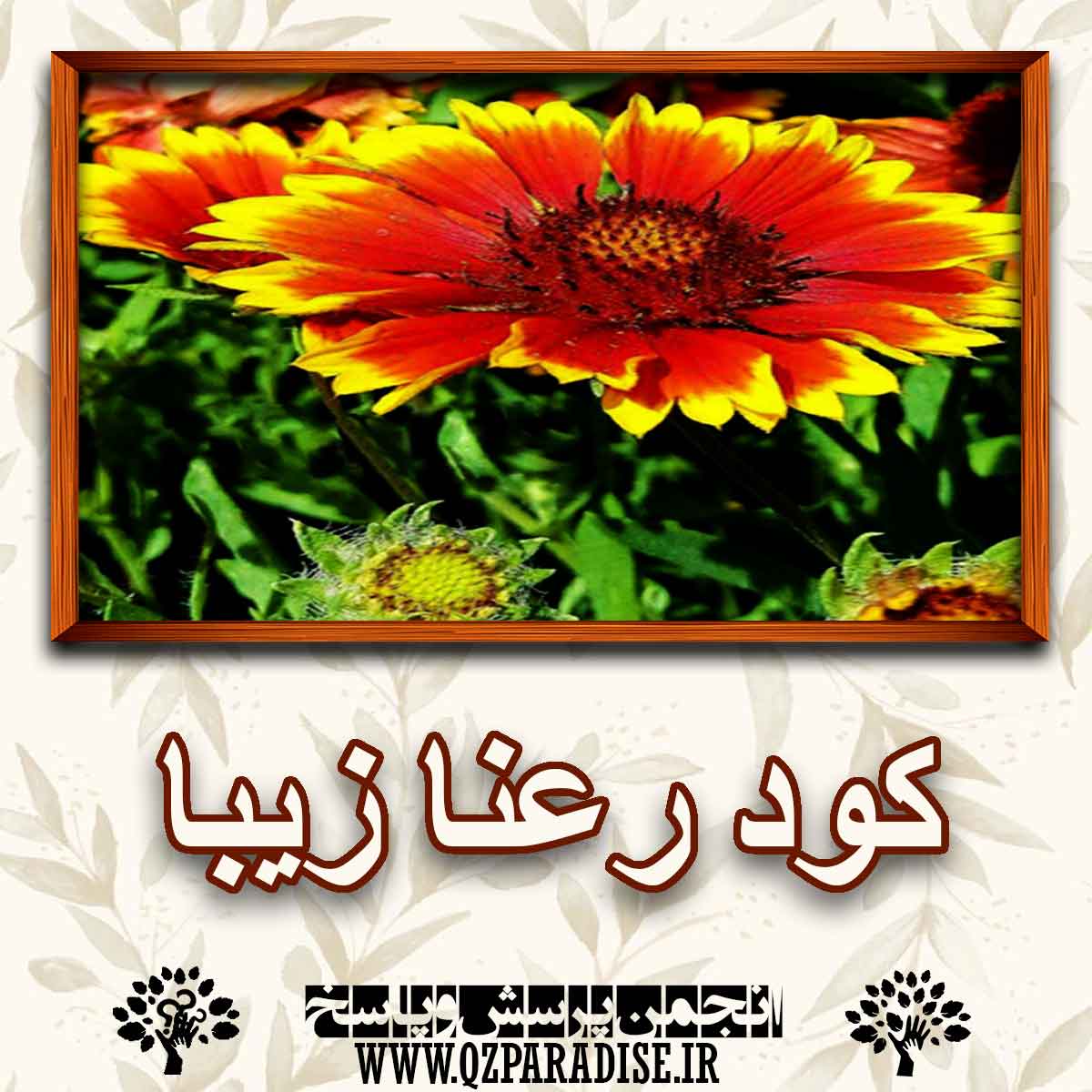 7881223c7c335f429e0becbe7a272b73cda831b9 147 - کود مناسب گیاه رعنا زیبا را شرح دهید ؟