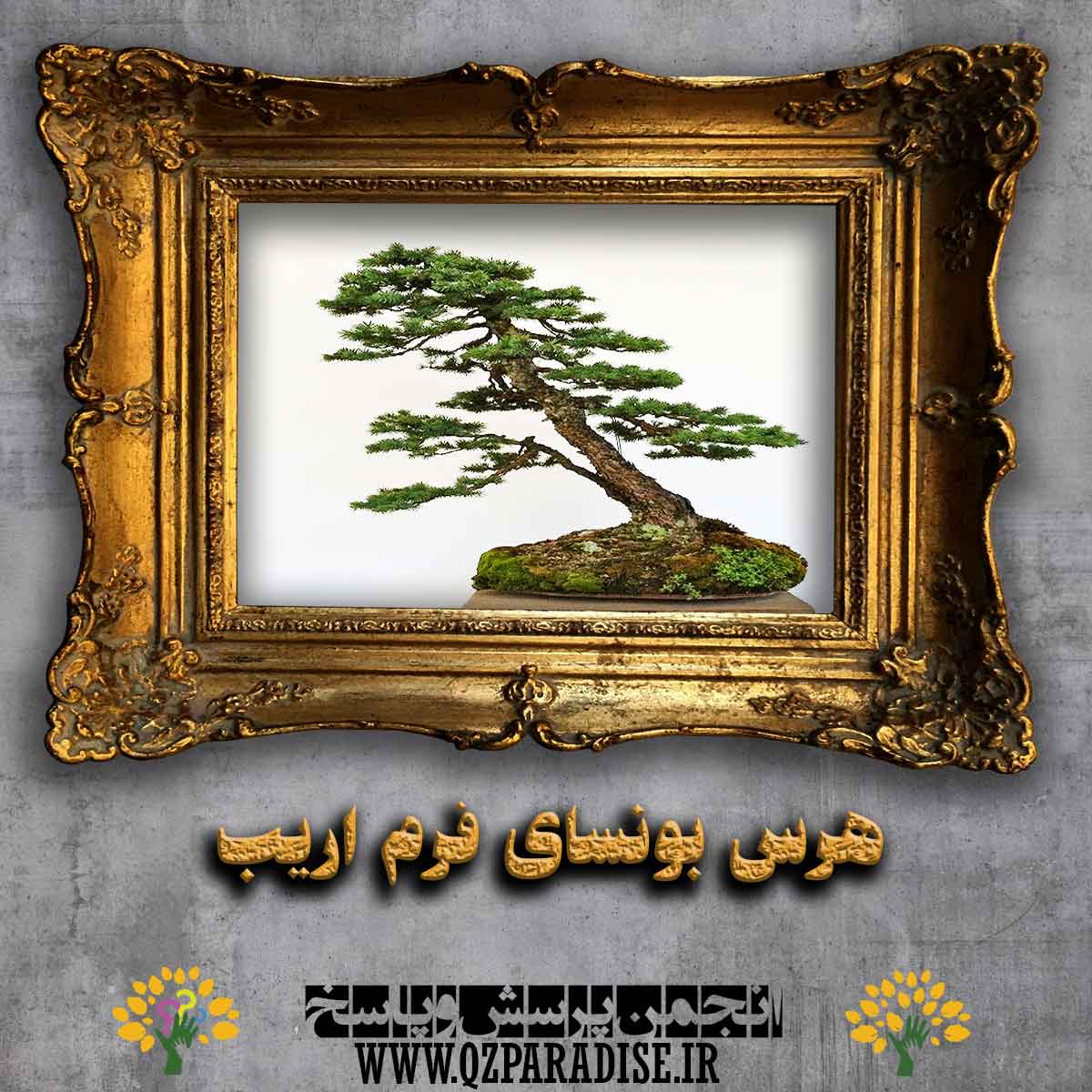 7b6ca786b00b9df4aec7e540cf6bce5be1f9f9f3 227 - هرس بونسای فرم اریب توضیح دهید؟