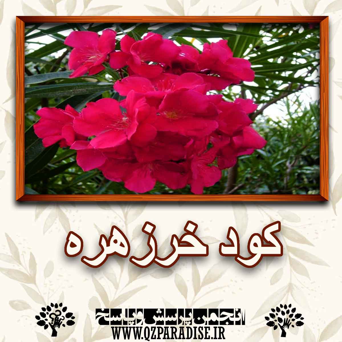 7e5b375ee4c81877a912fb82b45c2f25724c84ed 147 - کود مناسب گیاه خرزهره را شرح دهید ؟