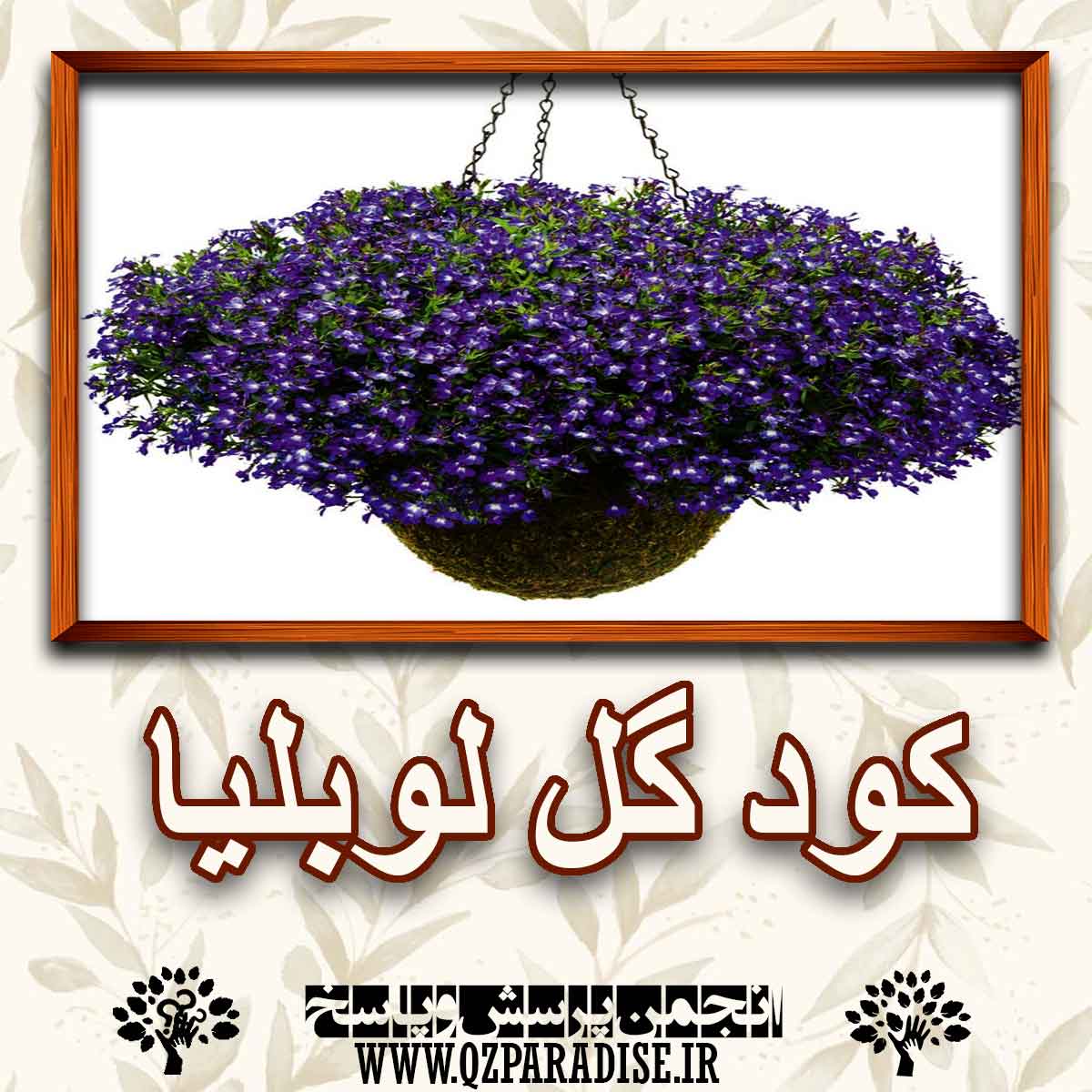 خواص و فواید کود گل لوبلیا را به طور کامل شرح دهید ؟ 8336451f23958e813c16dd52f8b881b8acdcc9c2 227 - خواص و فواید کود گل لوبلیا را به طور کامل شرح دهید ؟