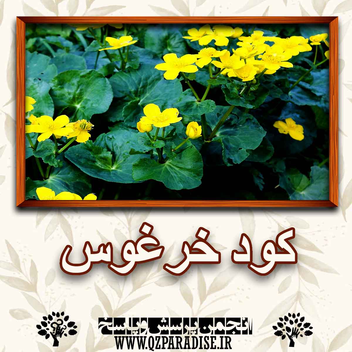 875b7d7d2f6c71c0c64ac59899b6afeea1ce591a 147 - کود مناسب گیاه خر غوس را شرح دهید ؟