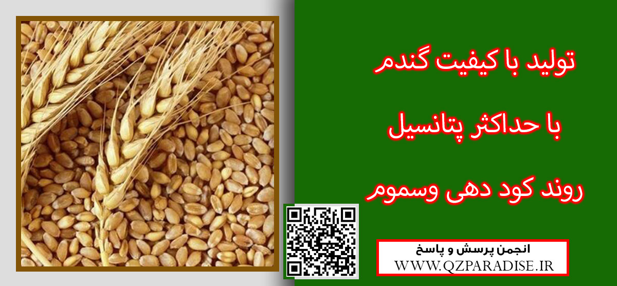 منظور از اختلاط پهن برگ کش های کاربردی در مزارع گندم با ریز مغذی ها را شرح دهید ؟ 8a06197066a71092983b92a4fc002aafa1bbe0f1 61 - منظور از اختلاط پهن برگ کش های کاربردی در مزارع گندم با ریز مغذی ها را شرح دهید ؟