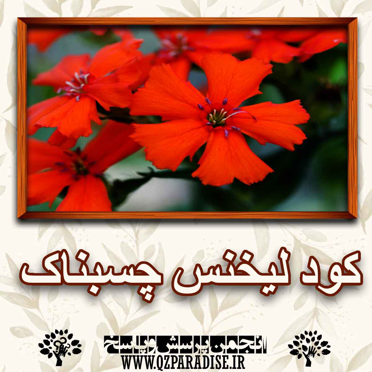 خواص و فواید کود لیخنس چسبناک را شرح دهید ؟ 8c72cd9a32cb859a672d66b69211c7eb2ba66400 227 - خواص و فواید کود لیخنس چسبناک را شرح دهید ؟
