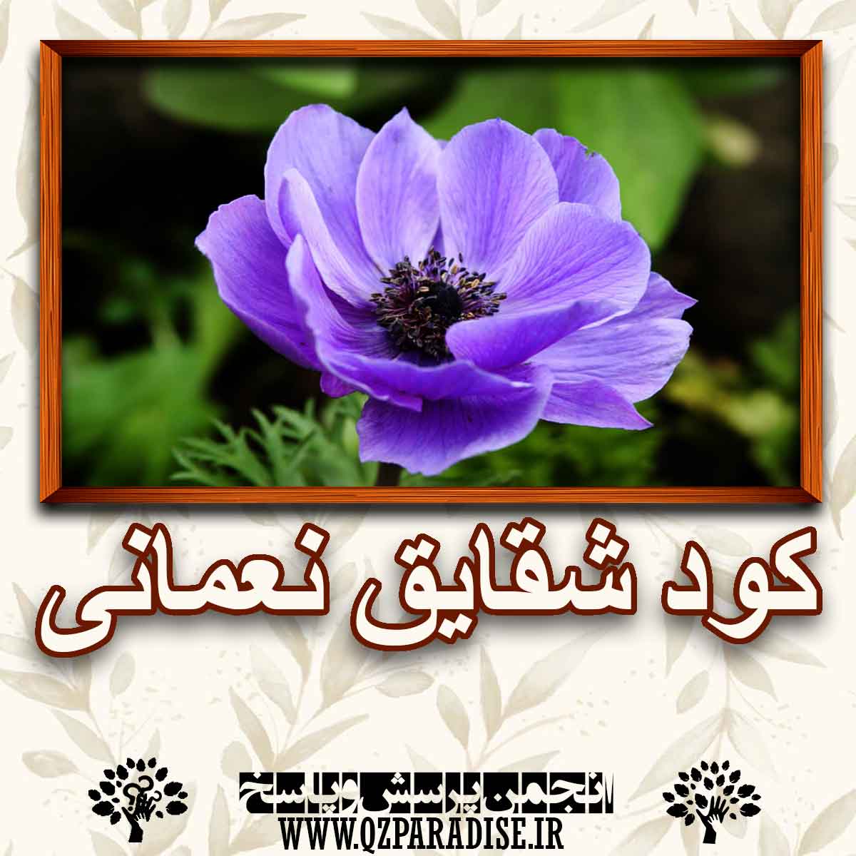 کود مناسب گل شقایق نعمانی  را توضیح دهید ؟ 8e3c5733d9f081af4401f83b16a85ffb0610503f 147 - کود مناسب گل شقایق نعمانی  را توضیح دهید ؟