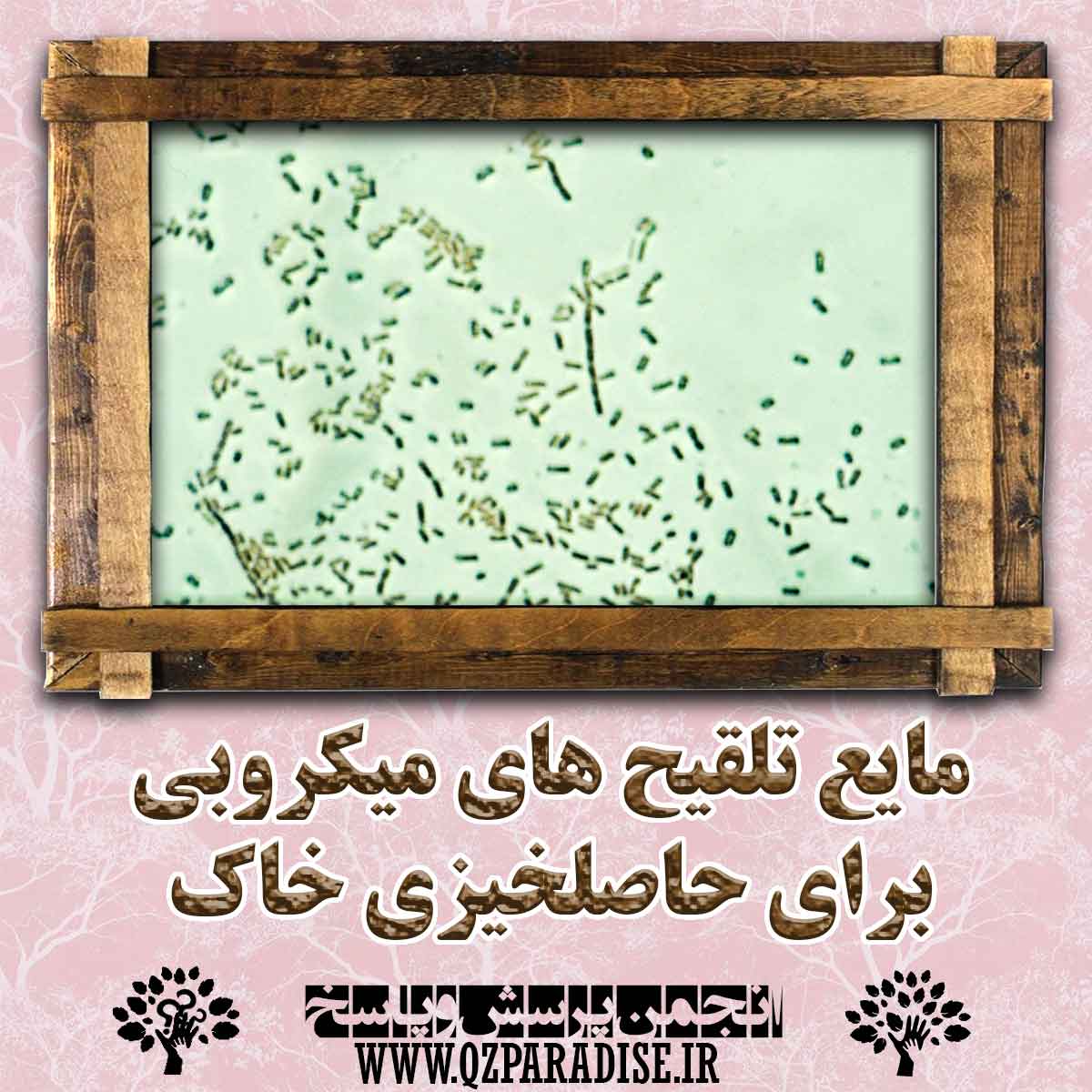 مایع تلقیح های میکروبی برای حاصلخیزی خاک را شرح دهید ؟ 92794f011d8aca210a5e5e27cac6816a964cbb9b 147 - مایع تلقیح های میکروبی برای حاصلخیزی خاک را شرح دهید ؟