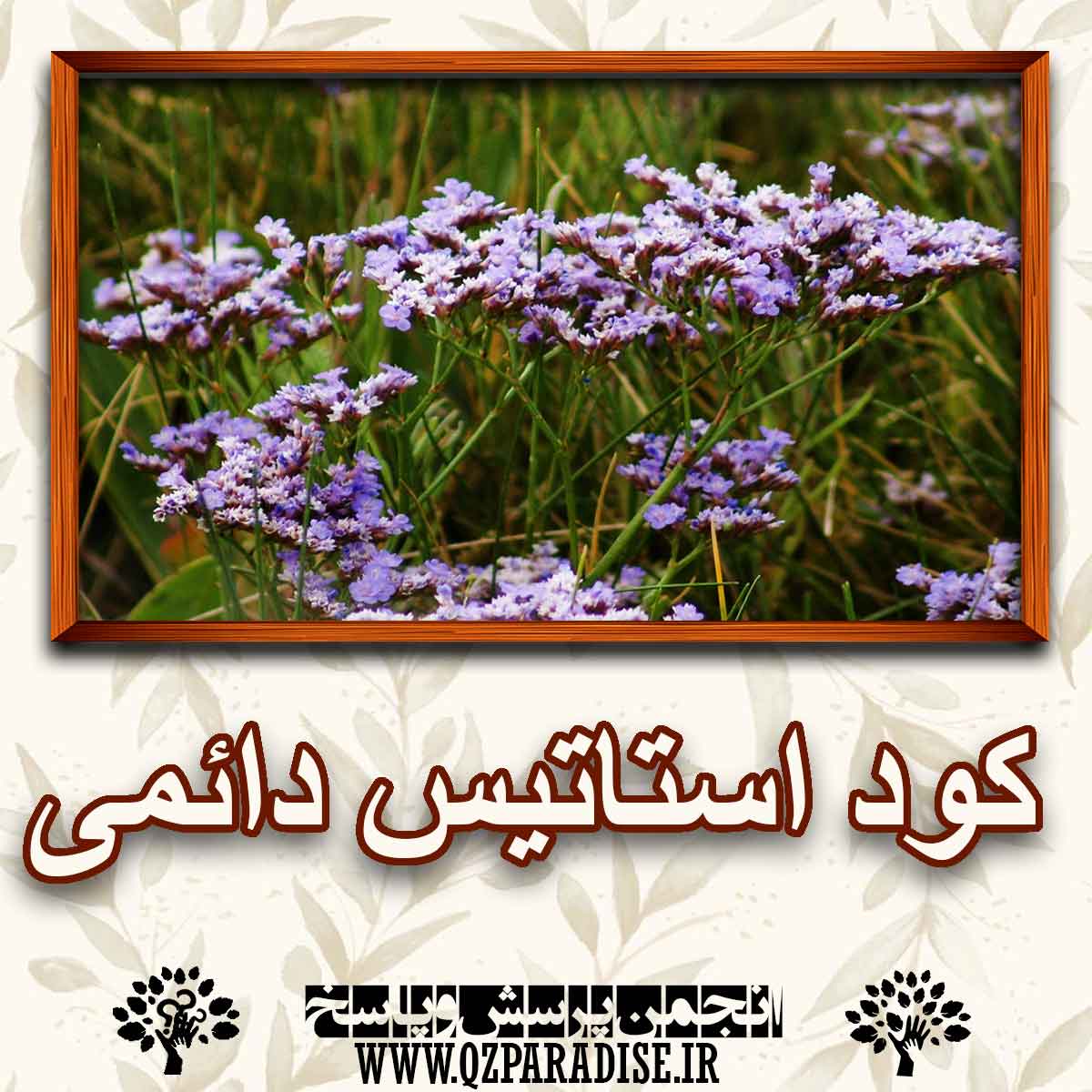 9394d9a0fdb62747842ca9de4ebc7a2d3afa151e 290 - کود مناسب استاتیس دائمی چیست؟