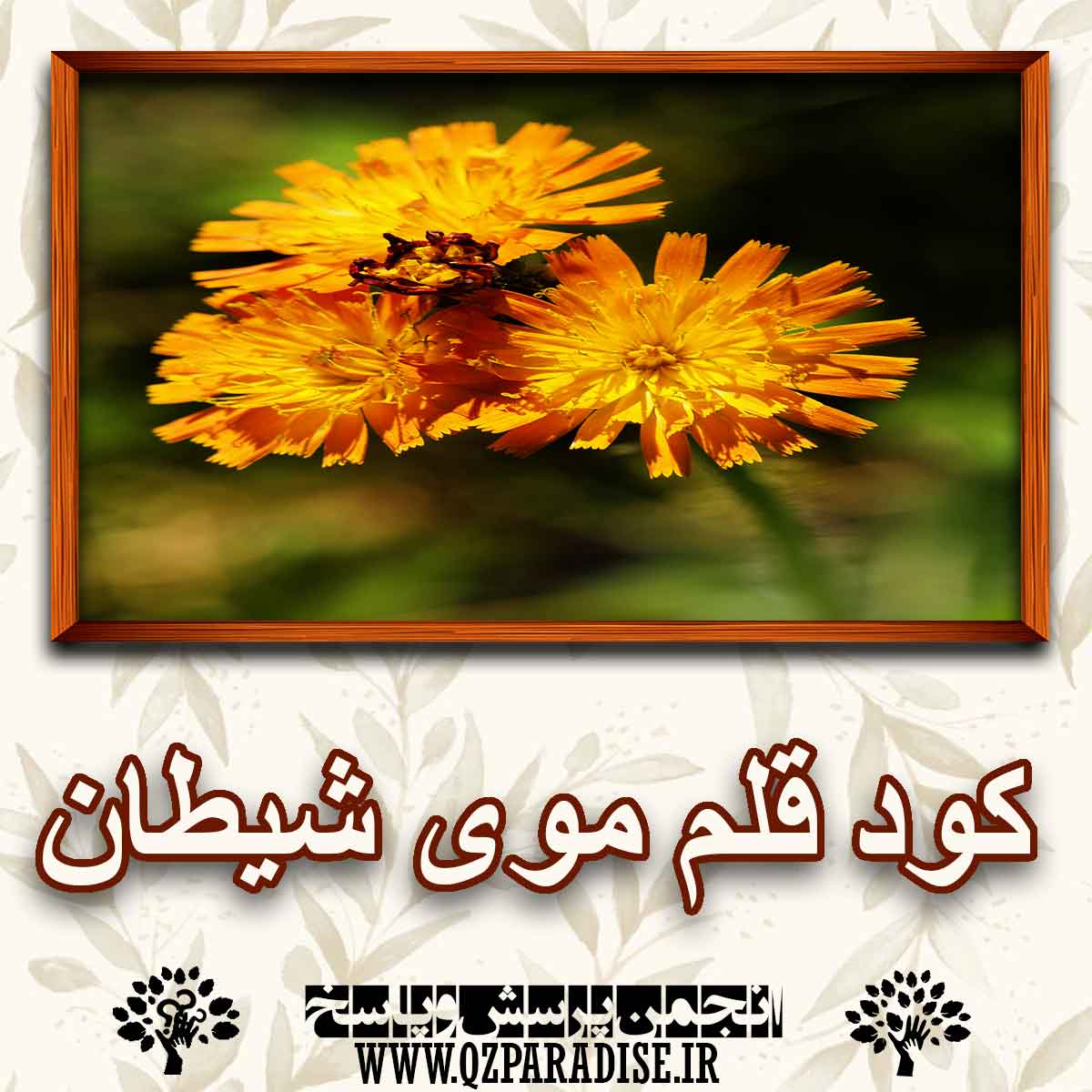 کود مناسب گل قلم موی شیطان  را شرح دهید ؟ 95aa5369cb838a928b283723955c1bf2f33504b6 147 - کود مناسب گل قلم موی شیطان  را شرح دهید ؟