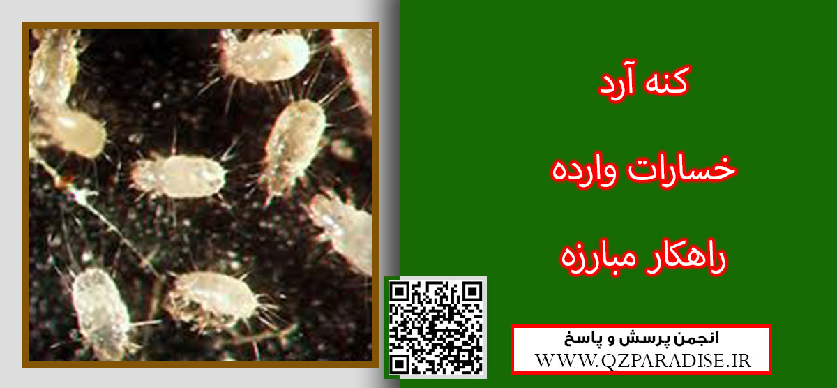 کنه  آرد را شرح دهید ؟ 98112a9f162fb392663c379018a18ae57b00e335 14 - کنه  آرد را شرح دهید ؟