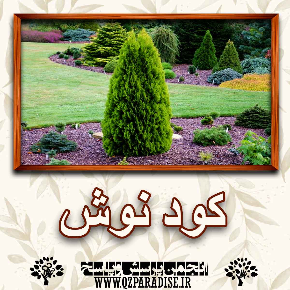 خواص استفاده از کود نوش را شرح دهید ؟ 9a353a0204d07b4b70c687ae6c0b443dc653bb01 227 - خواص استفاده از کود نوش را شرح دهید ؟