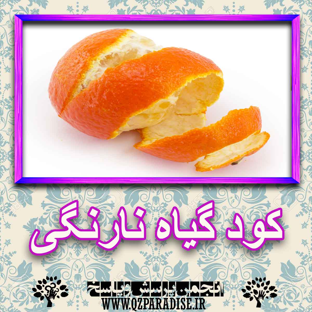 کود مناسب گیاه نارنگی چیست و چه خاصیتی دارد؟ 9b369c7c95bbb68f7cd864209f7158dde7dde9c3 227 - کود مناسب گیاه نارنگی چیست و چه خاصیتی دارد؟