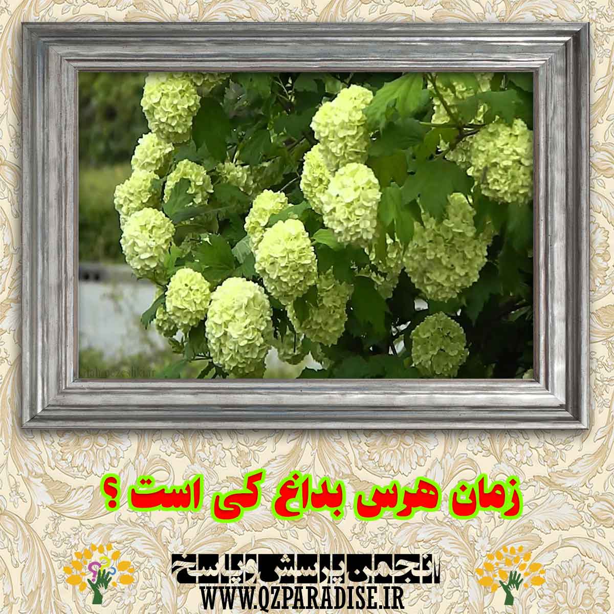 زمان هرس بداغ کی است؟ 9b86b54a998078bf21eb0d4c2856ff7061624def 290 - زمان هرس بداغ کی است؟