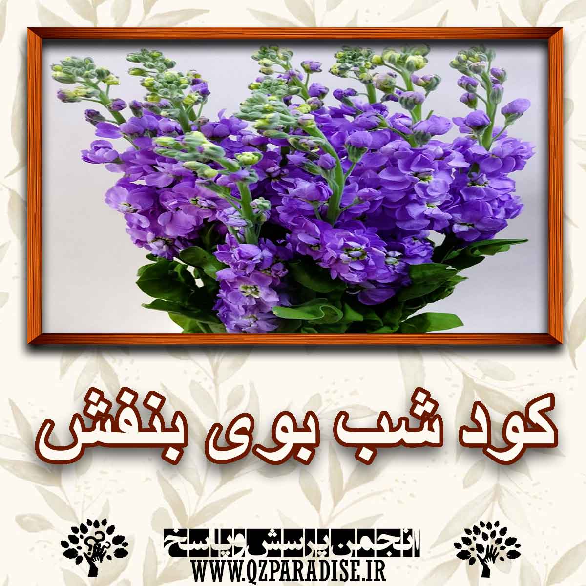 9c87d55c9d798535e6646fcf8e04ba5f3c685bdf 147 - کود مناسب گل شب بوی بنفش را توضیح دهید ؟