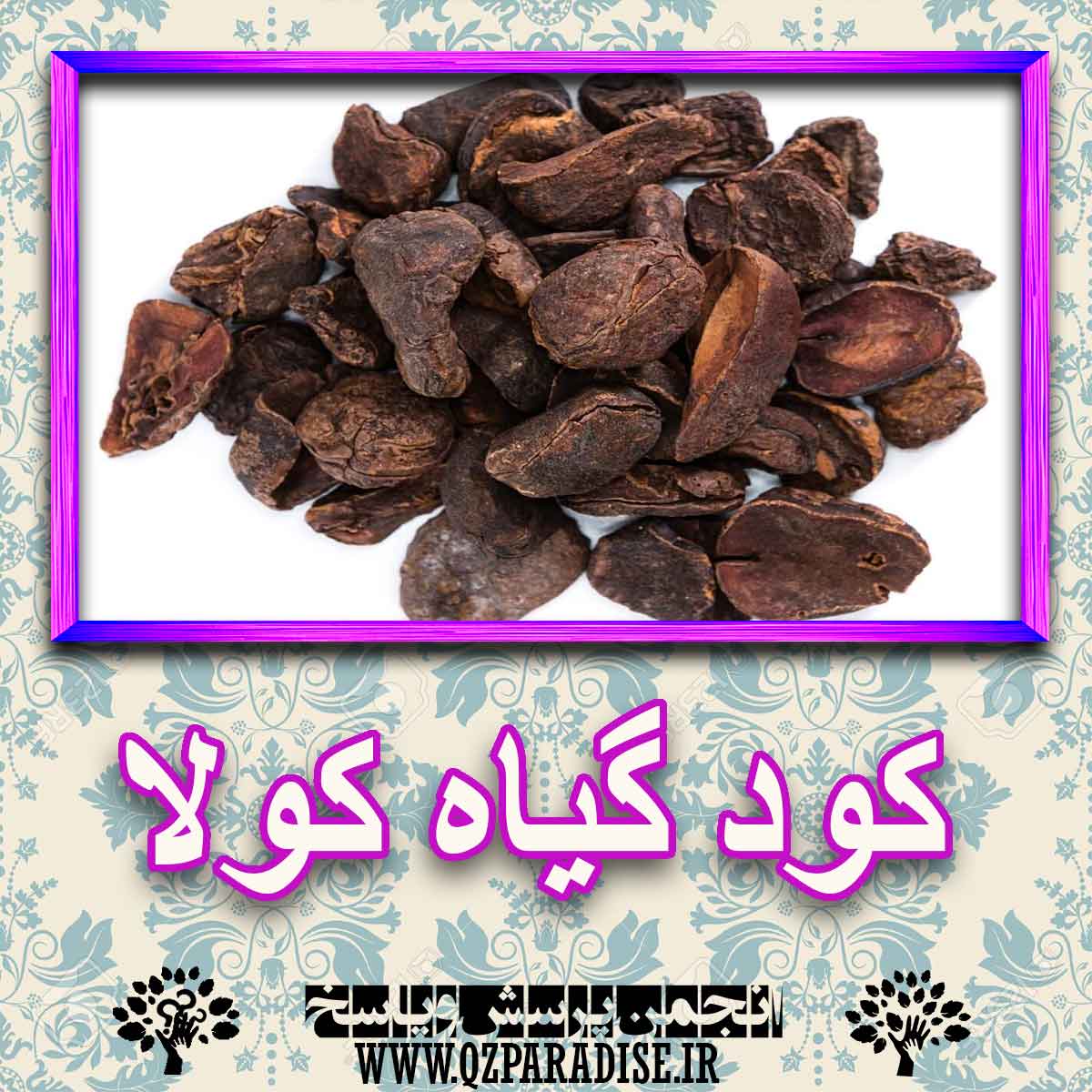 کود مناسب گیاه کولا چیست و چه خاصیتی دارد؟ a09d548a842cece31234b5323e88656556a19a0a 227 - کود مناسب گیاه کولا چیست و چه خاصیتی دارد؟