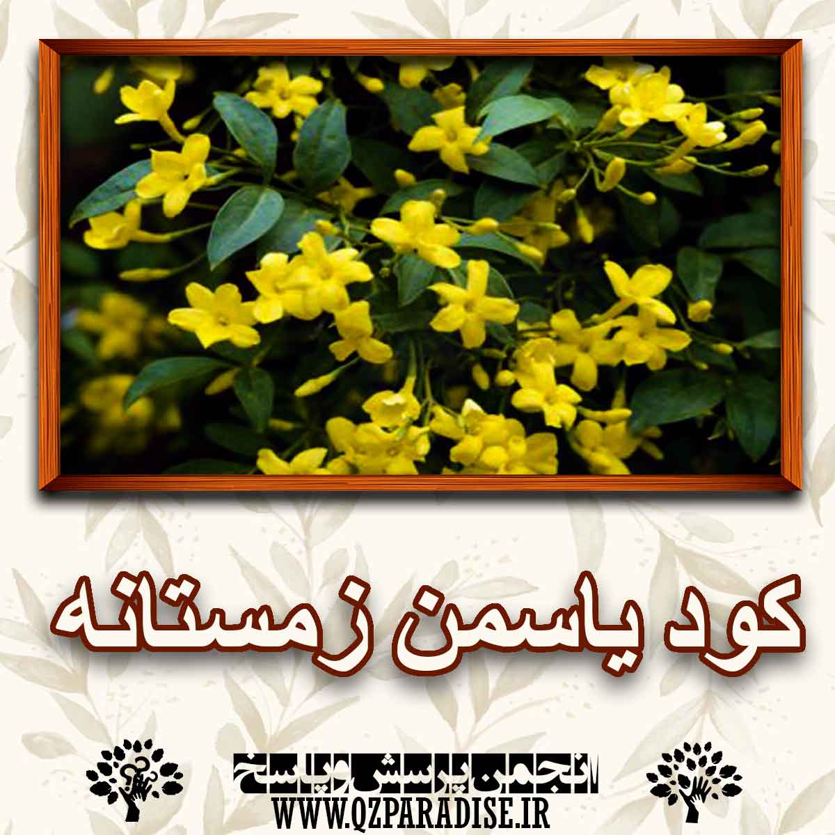 خواص استفاده از کود گیاه یاسمن زمستانه را شرح دهید ؟ a38a6912ad0d11e65da4c6b5ae88a3d51ccaa4c7 227 - خواص استفاده از کود گیاه یاسمن زمستانه را شرح دهید ؟