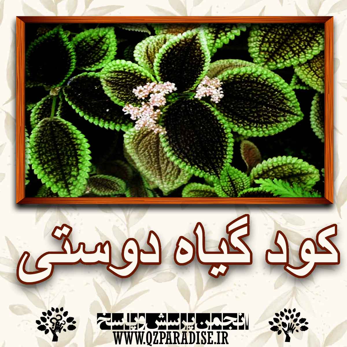 خواص و فواید کود گیاه دوستی را شرح دهید ؟ ac44338e6800a3cfb6a016b017ac4e70f860ce16 227 - خواص و فواید کود گیاه دوستی را شرح دهید ؟