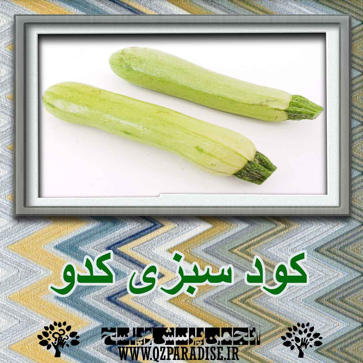 acb6df699f78a5226b44b99a2ba31208770f1670 227 - کود سبزی کدو ؟ چه کاربردی دارد؟