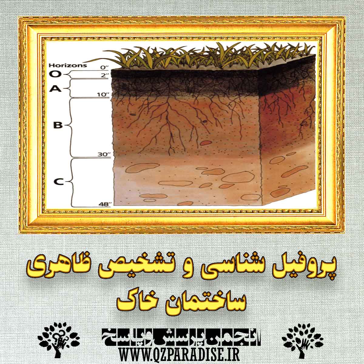 پروفیل شناسی و تشخیص ظاهری ساختمان خاک را توضیح دهید؟ b6f16d79888e5e0ec6c528ecb9dc57cfda42a496 227 - پروفیل شناسی و تشخیص ظاهری ساختمان خاک را توضیح دهید؟