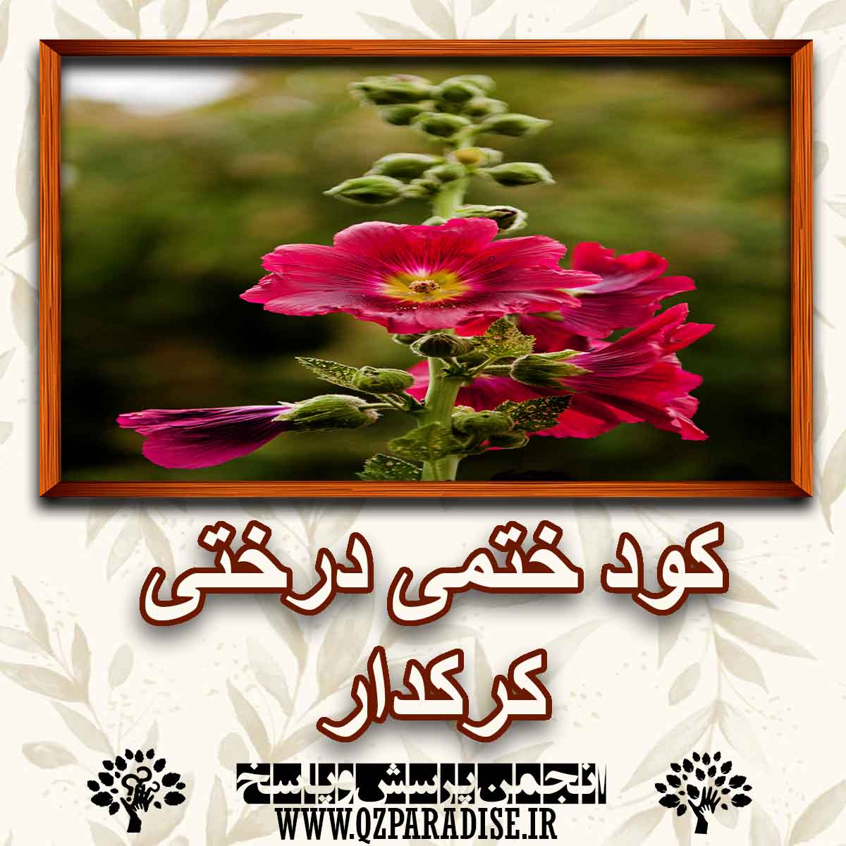 کود مناسب گیاه ختمی درختی کرکدار را شرح دهید ؟ d6e3a90af20d12652b2cc2f6271c638a1450102a 147 - کود مناسب گیاه ختمی درختی کرکدار را شرح دهید ؟