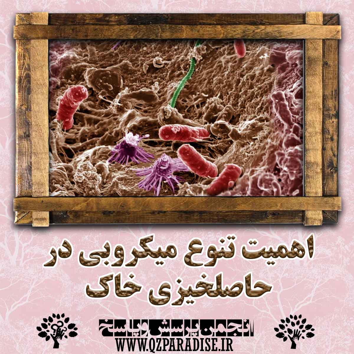 اهمیت تنوع میکروبی در حاصلخیزی خاک را شرح دهید ؟ ddc578a98b59b24315c9fafed08787ffd0a93dfe 147 - اهمیت تنوع میکروبی در حاصلخیزی خاک را شرح دهید ؟