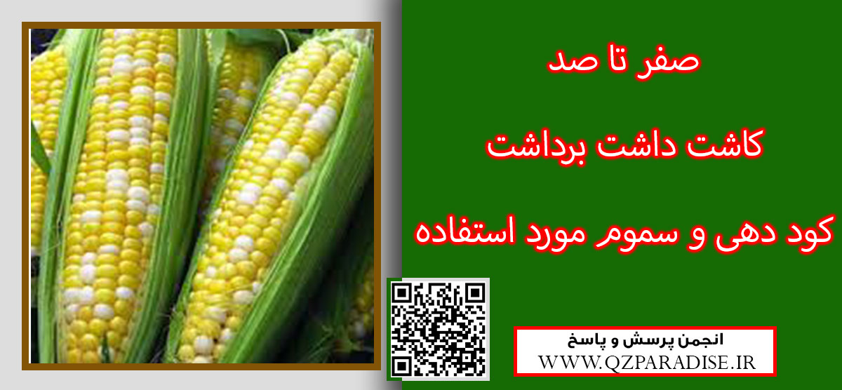 اطلاعات جامعی در رابطه با کاشت داشت و برداشت ذرت و کود و سموم مورد استفاده df007f4e56ad06fcc9e4dd37c7d4405992b3e5ad 61 - اطلاعات جامعی در رابطه با کاشت داشت و برداشت ذرت و کود و سموم مورد استفاده