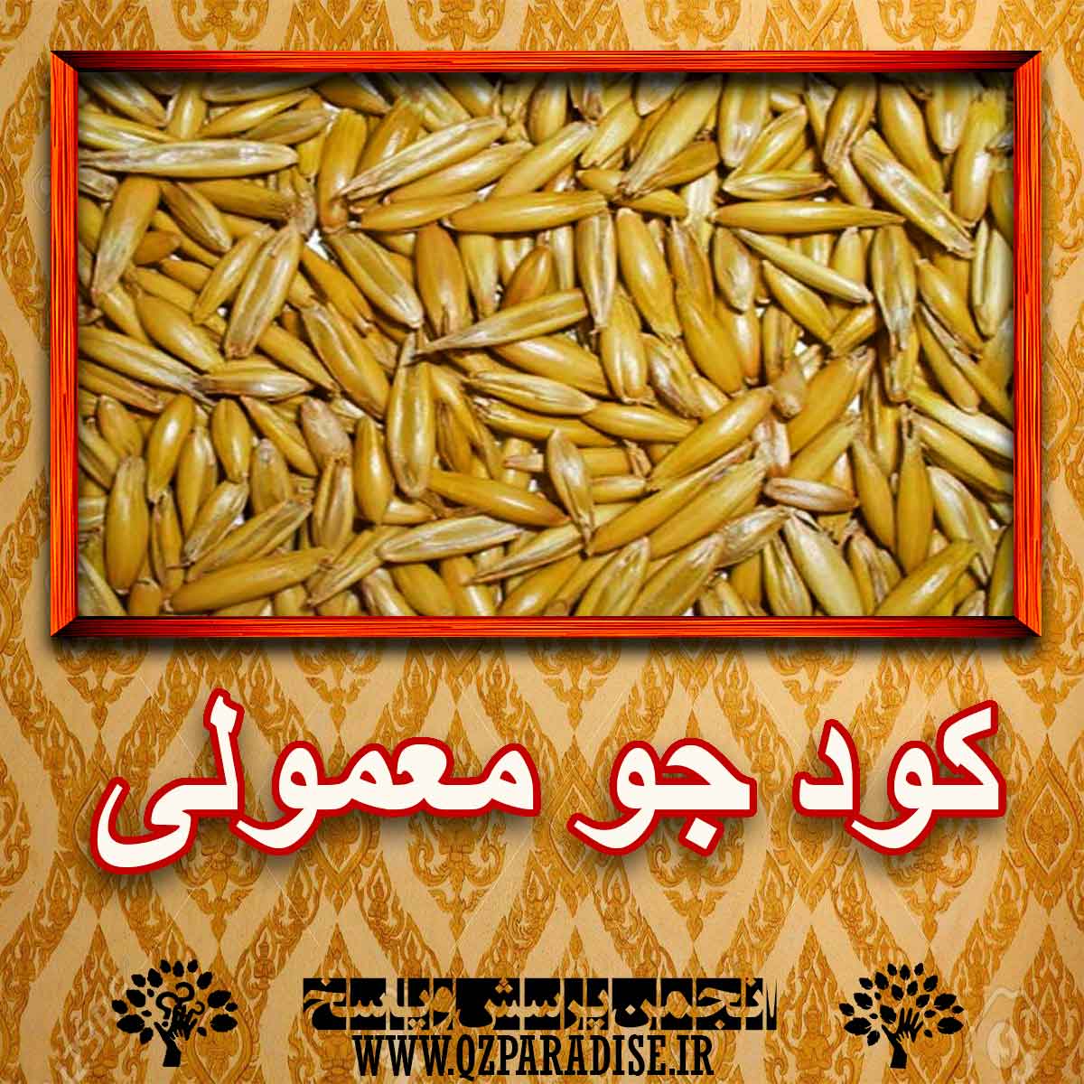 خواص استفاده از کود جو معمولی شرح دهید ؟ e09802b3144fbb2fdaa7594ebc3272edb94ff7e2 227 - خواص استفاده از کود جو معمولی شرح دهید ؟