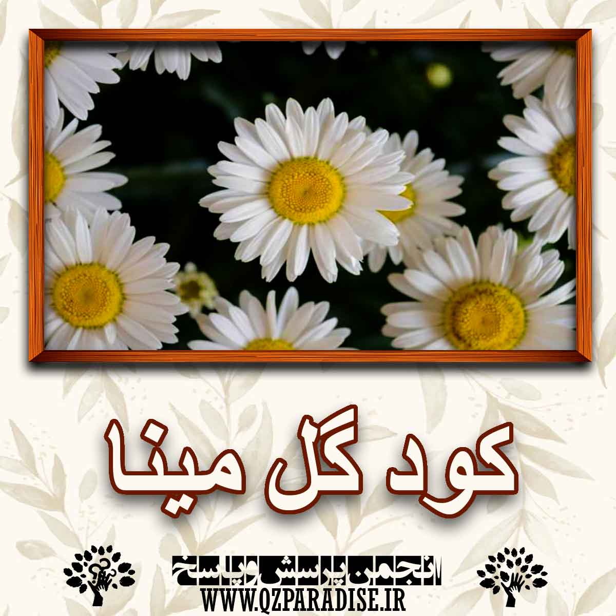 e38e310ca98dfafa7f3009b24406a6cf1d94be27 227 - خواص و فواید کود گل مینا را به طور کامل شرح دهید ؟