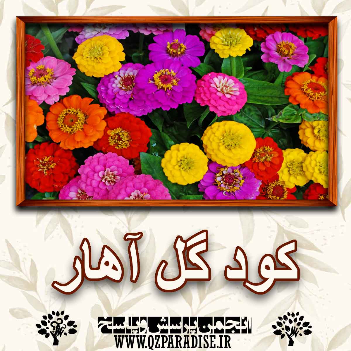 خواص کود گل آهار را شرح دهید؟ e6b2493fc3d7d9194567b1380c814889e41d5391 227 - خواص کود گل آهار را شرح دهید؟