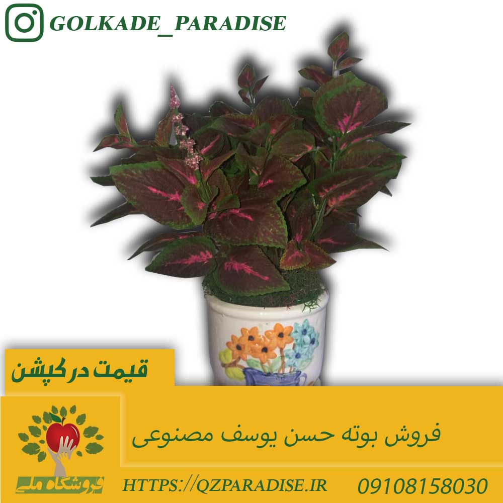 مشخصات ، قیمت و فروش بوته حسن یوسف مصنوعی e779390370801b1f89e059bb244b43a17082c509 14 - مشخصات ، قیمت و فروش بوته حسن یوسف مصنوعی