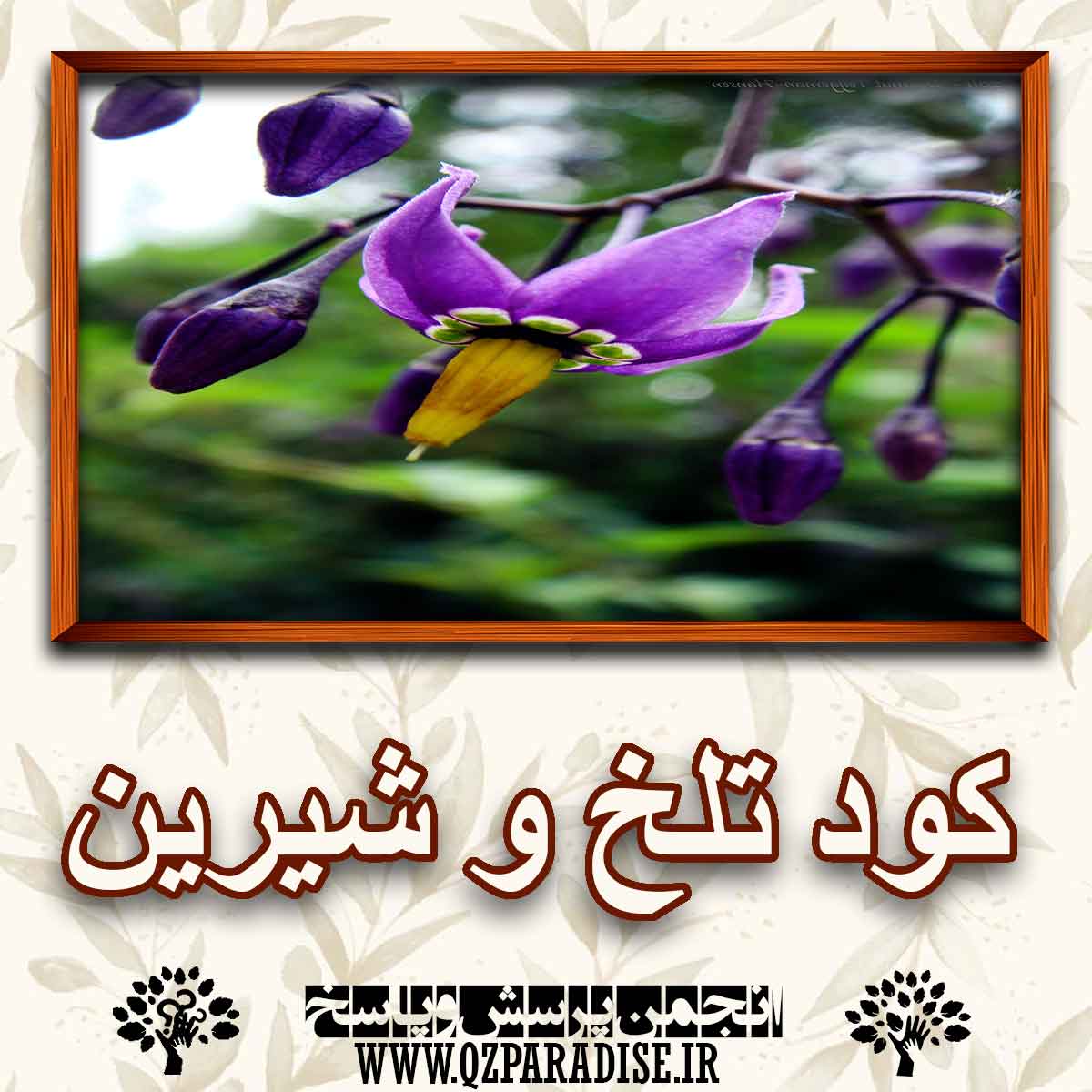 کود مناسب گیاه تلخ و شیرین را شرح دهید ؟ e924cee28c51ab83a8e79ec475224c2b8b983225 147 - کود مناسب گیاه تلخ و شیرین را شرح دهید ؟