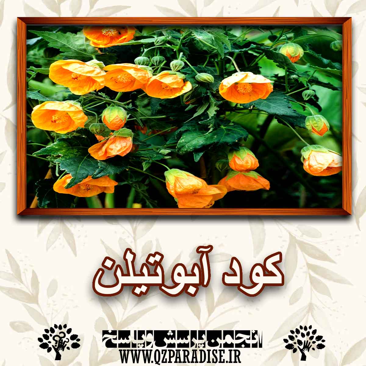 f029b7e73c56e63f5d764505a46aeabde5e1ea3c 290 - چه کودی مناسب گیاه ابوتیلن است؟