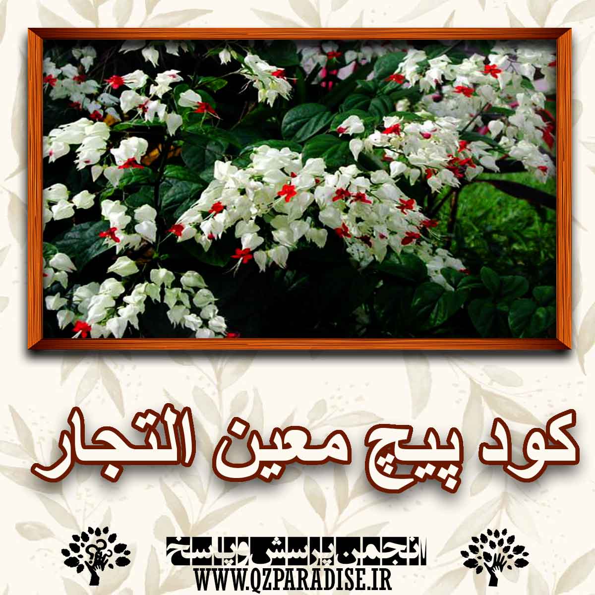 f0f6e55fb09c720e7426a00e9812c214e7061952 147 - کود مناسب معین التجار را شرح دهید ؟