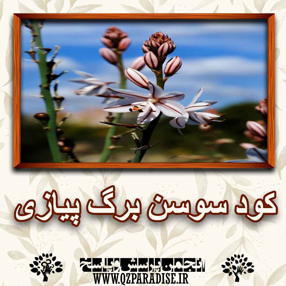 کود مناسب گل سوسن برگ پیازی را شرح دهید ؟ f6d0e908078070fe9c17737b6a103551291fdb08 147 - کود مناسب گل سوسن برگ پیازی را شرح دهید ؟