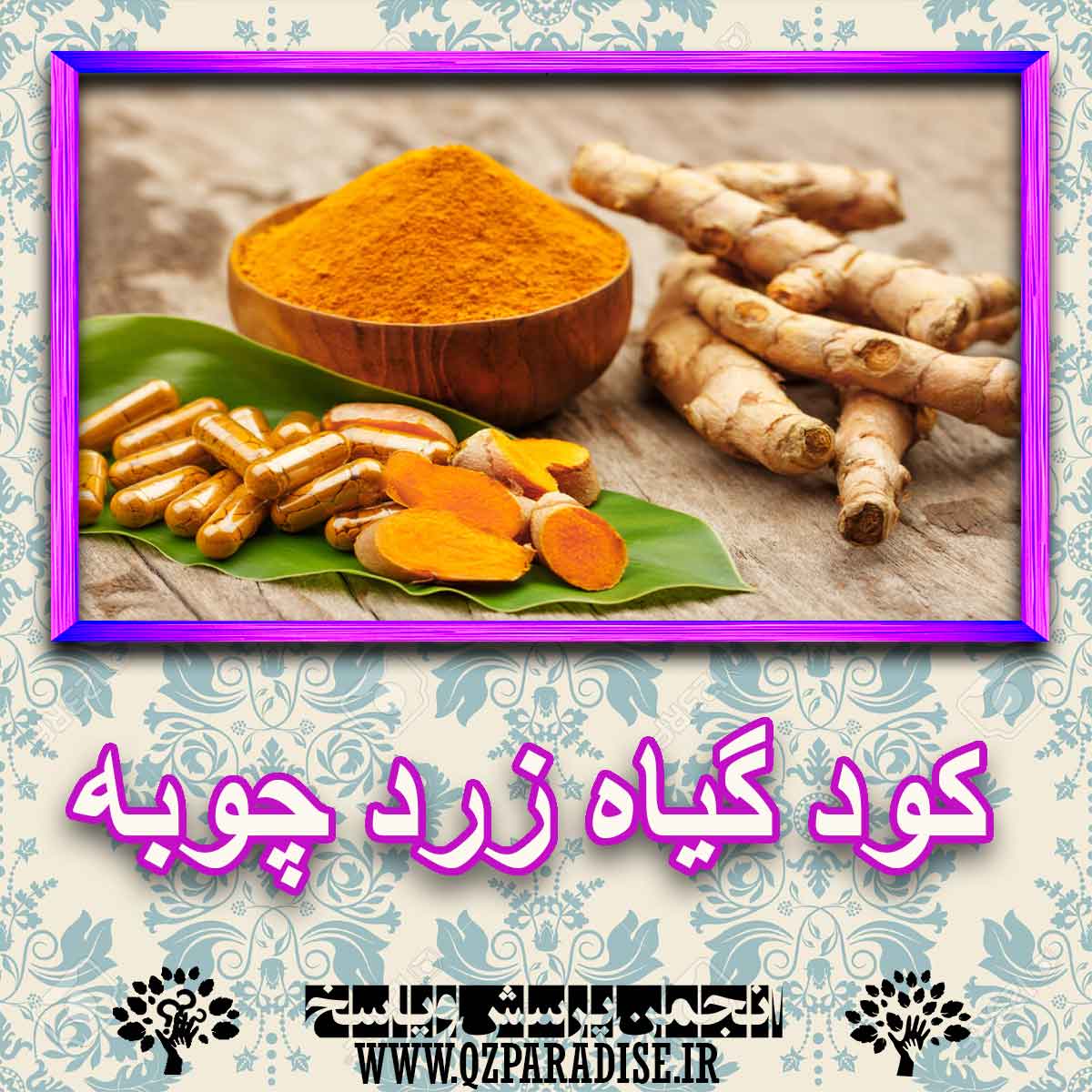 کود مناسب گیاه زرد چوبه چیست و چه خاصیتی دارد؟ f874e8662da887f3a4f0b76ba946e59d48becca4 227 - کود مناسب گیاه زرد چوبه چیست و چه خاصیتی دارد؟