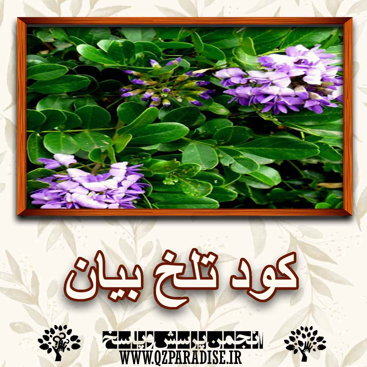 f8f6a5a2d0804f4db8116b0e58e6e23a8c6d4254 147 - کود مناسب گیاه تلخ بیان را شرح دهید ؟